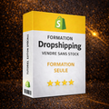 FORMATION DROPSHIPPING